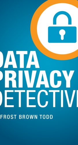 Podcast Logo: "Data Privacy Detective"
