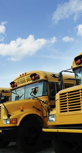 Education School Buses