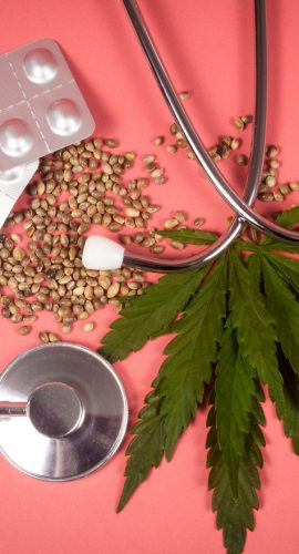 Medical Marijuana plant stethescope and seeds