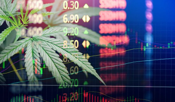 Business Marijuana Hemp Leaves Cannabis Stock Exchange Market