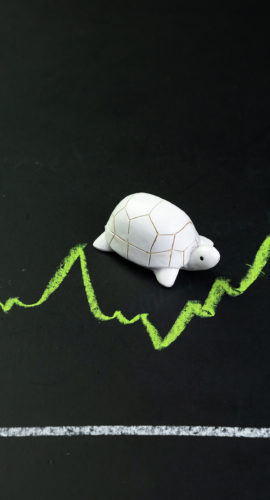 Slow But Stable Investment Or Low Fluctuate Stock Market Concept, Miniature Figure Turtle Or Tortoise Walking On Chalkboard With Drawing Green Price Line Graph Of Stock Market Value