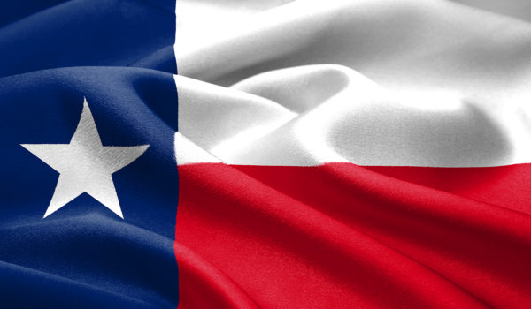 Texas Flag Waving