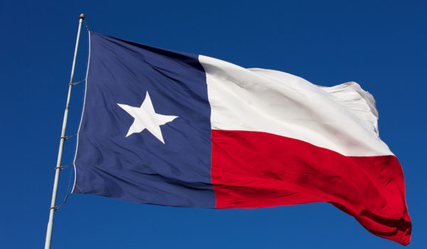 Texas State Flag Waving In The Wind